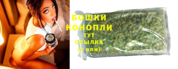 прущие крисы Новозыбков
