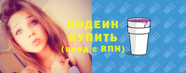 дмт Билибино