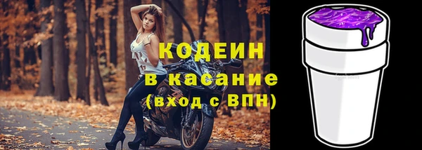 дмт Билибино