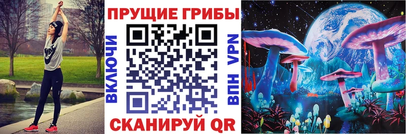 Псилоцибиновые грибы MAGIC MUSHROOMS  даркнет сайт  Мышкин 